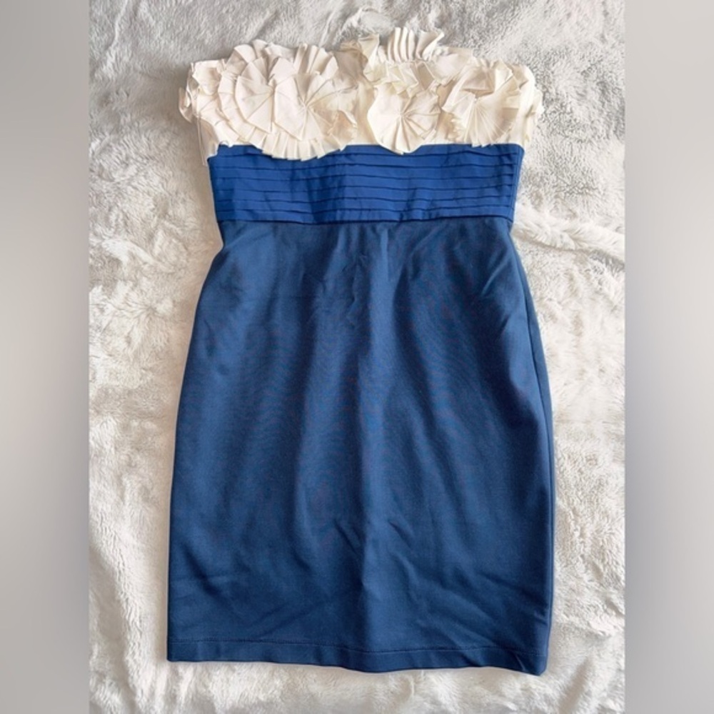 BCBGMaxAzria Blue and White Strapless Dress